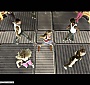 080.jpg